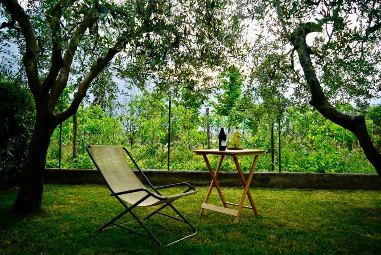 Lake & Rest Riva del Garda Exterior foto